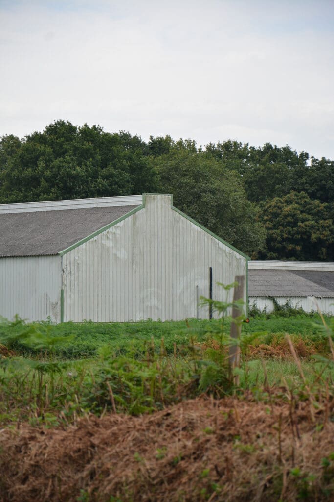 Réhabilitation d'un cidrerie par Carmen Maurice